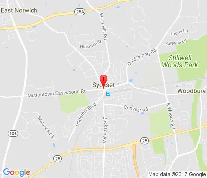 logo-image - syosset-ny